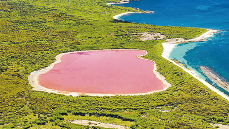 HorizonGMagical pink lakes