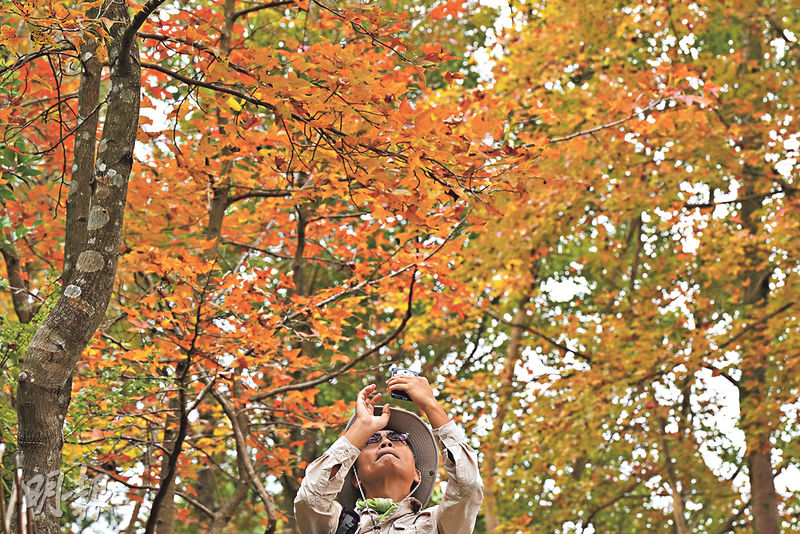 Talk of the townGAppreciate the natural beauty of Hong Kong