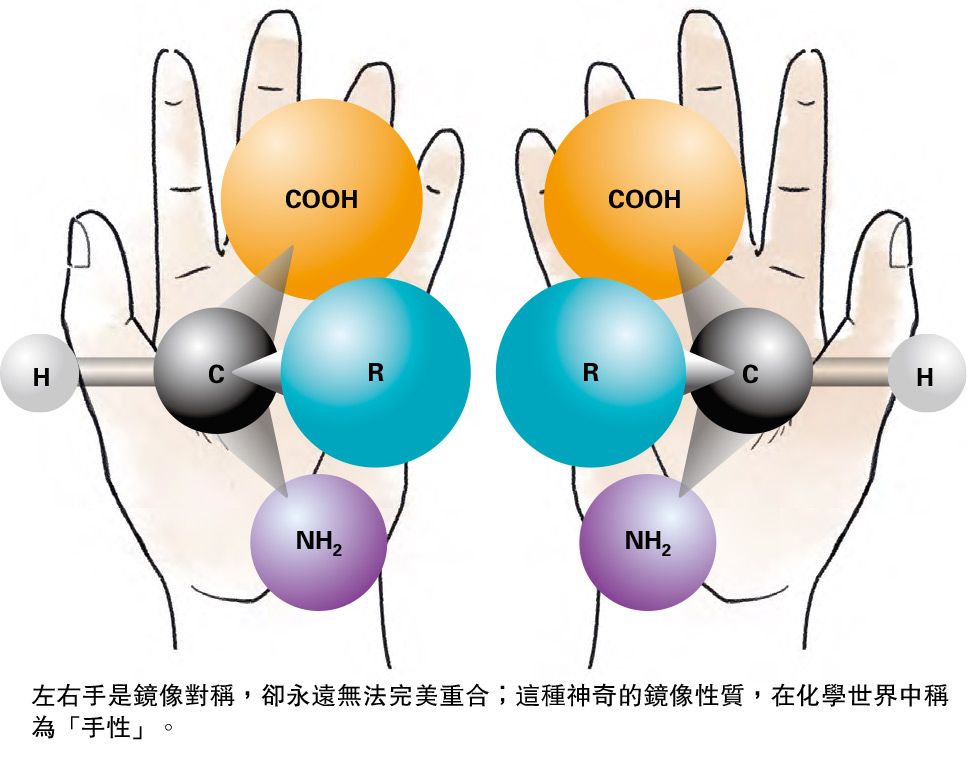 ǮaGơG쪺ʤƾ