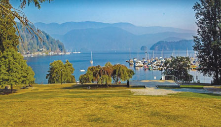 _Deep Covej  L}lI	