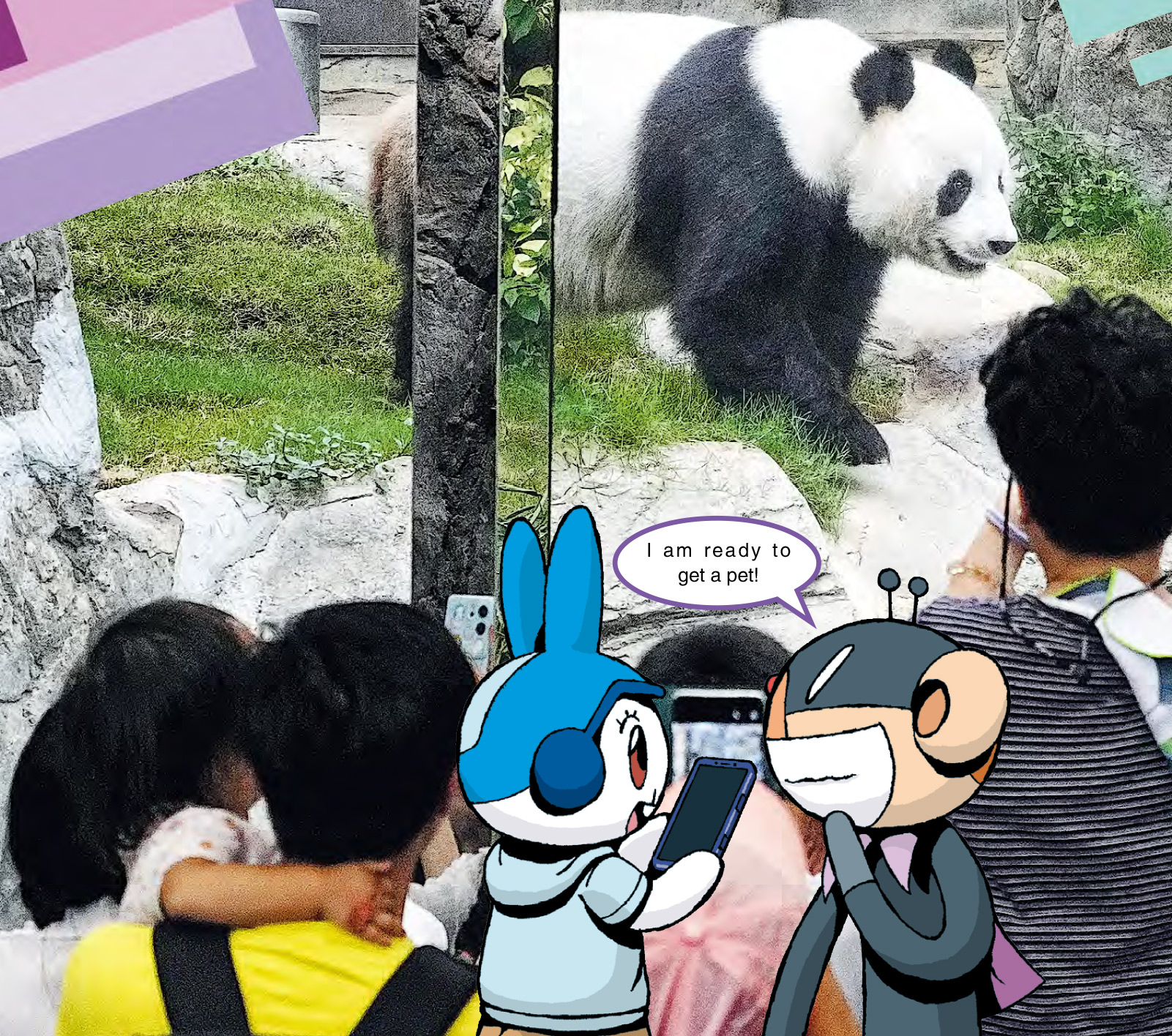 Talk of the town : Welcome Pandas